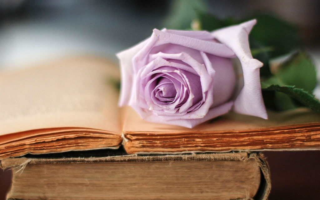 rose-flower-book-new