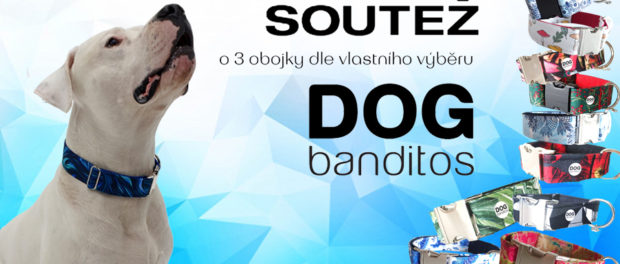 Soutěž o 3 obojky od Dog Banditos